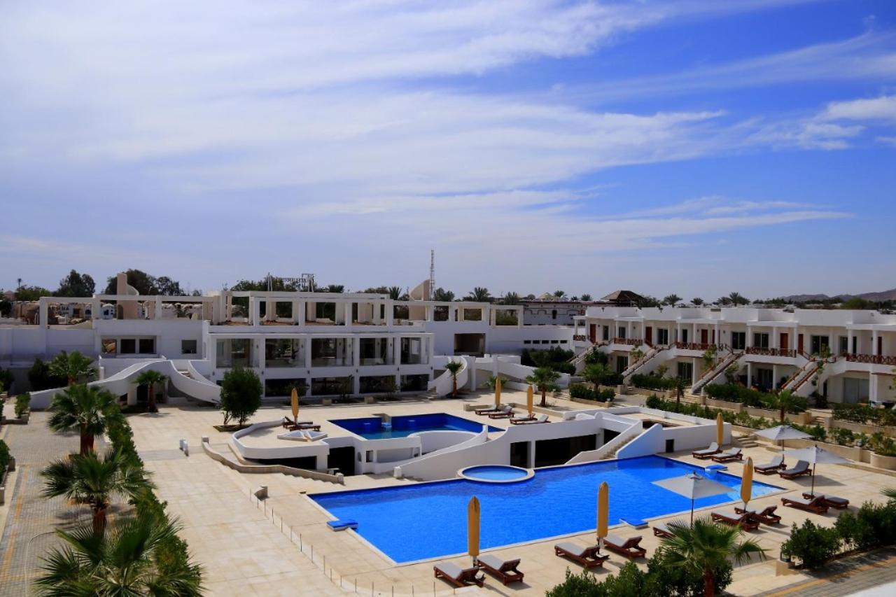 Apartment Pool View
