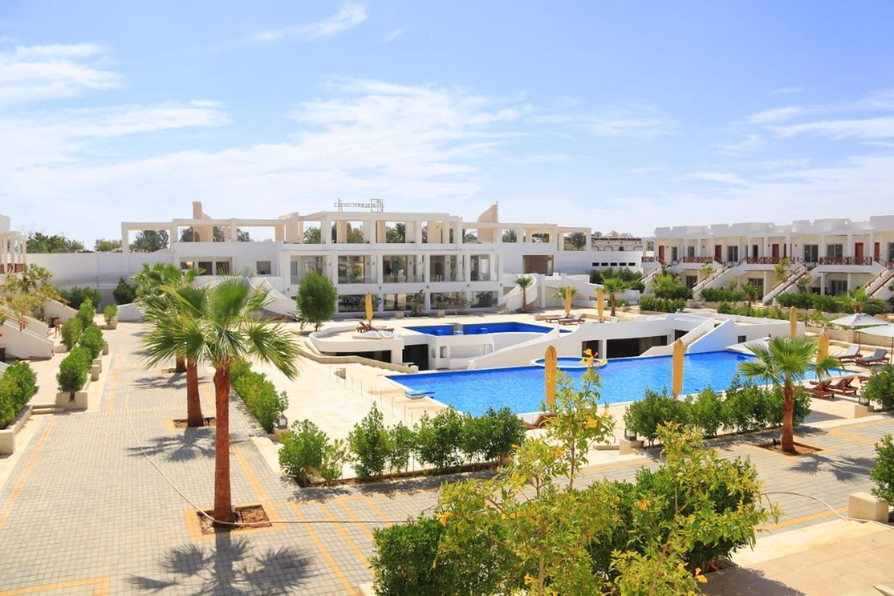 Apartment Pool View