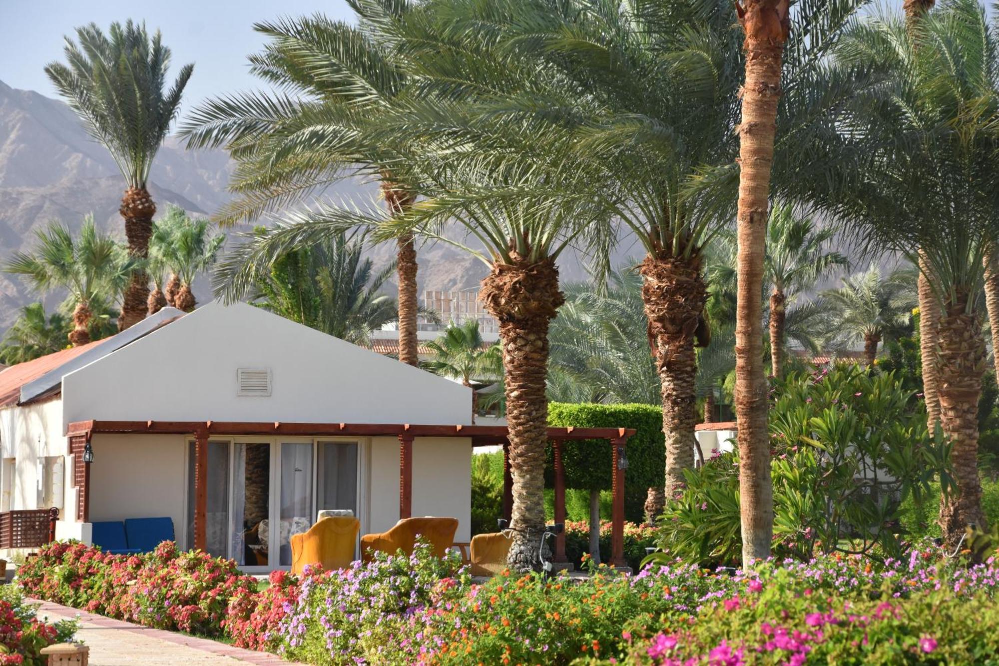 Honeymoon suite