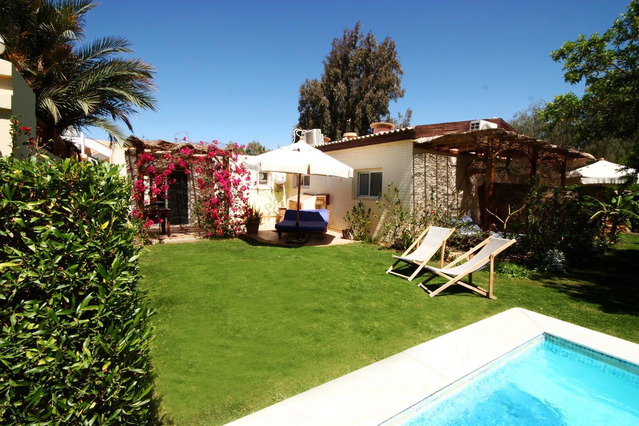 Apartment,628126170:JPEG