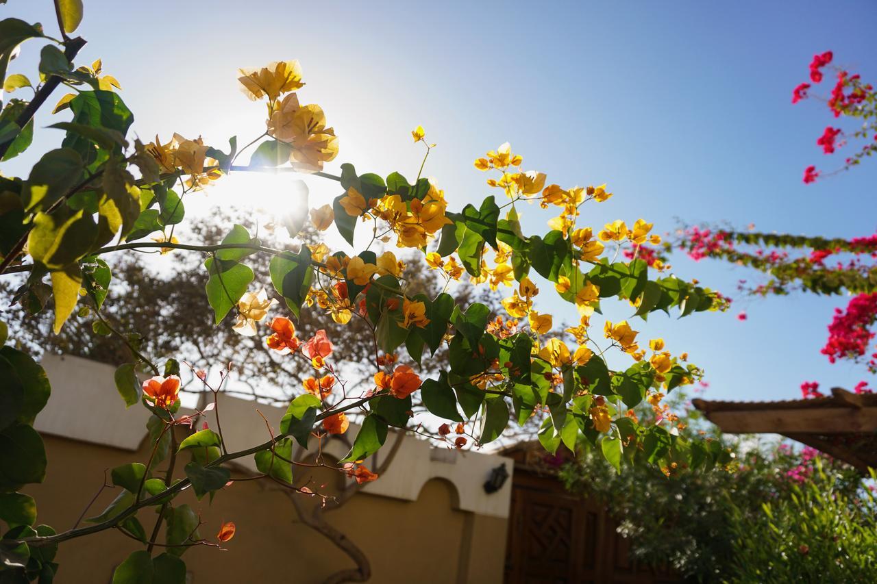 Villa,658378779:JPEG