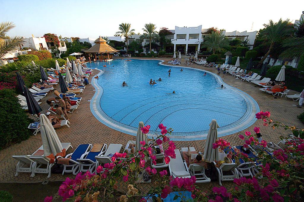 Double or Twin Room Pool View,63134494:JPEG