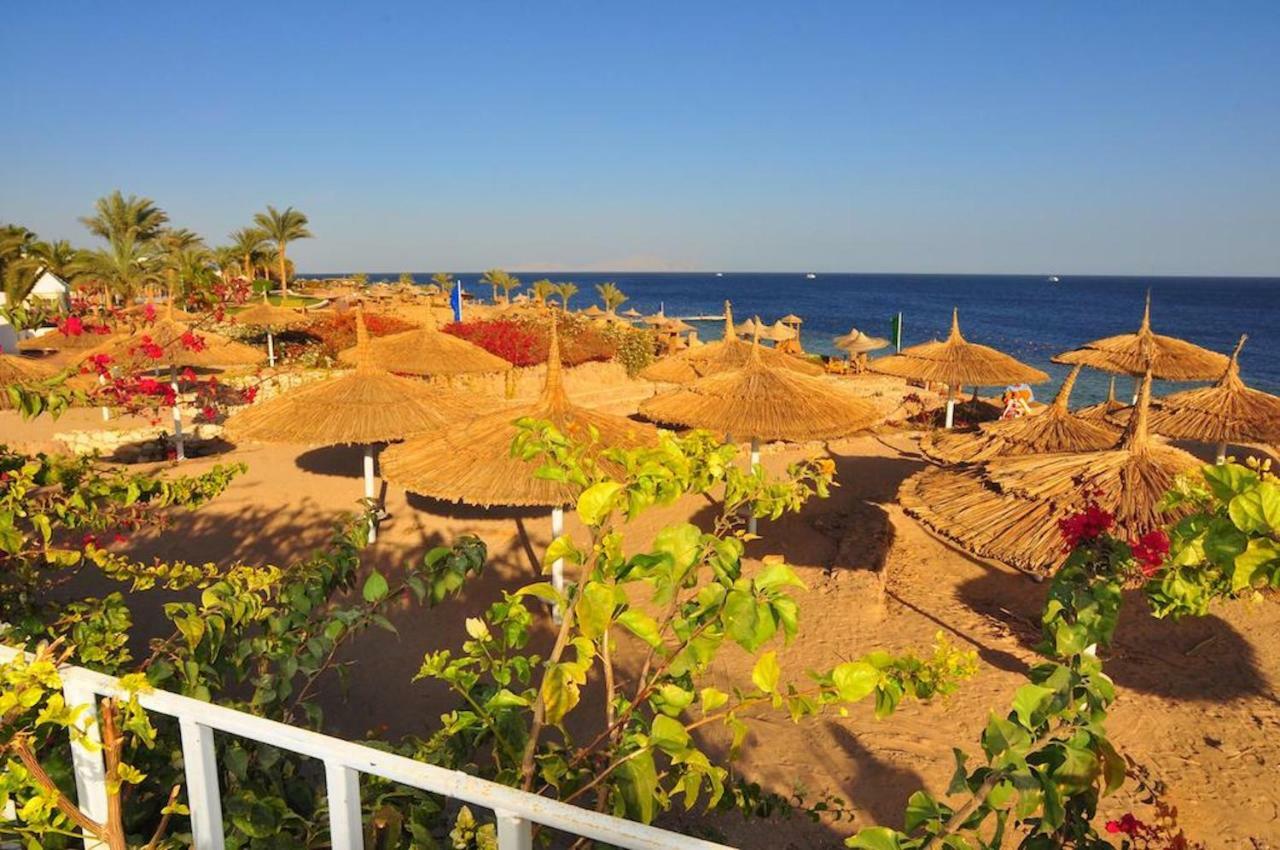 Four-Bedroom Villa with Private Garden and Pool