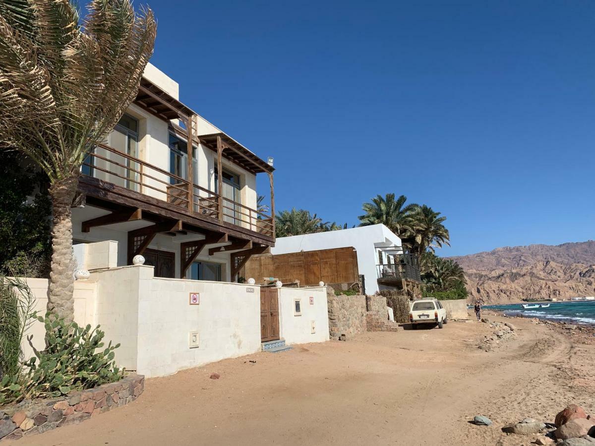 One-Bedroom Apartment,877754507:JPEG