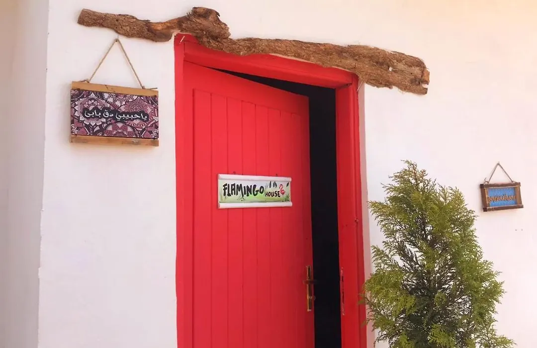 Flamingo House-1