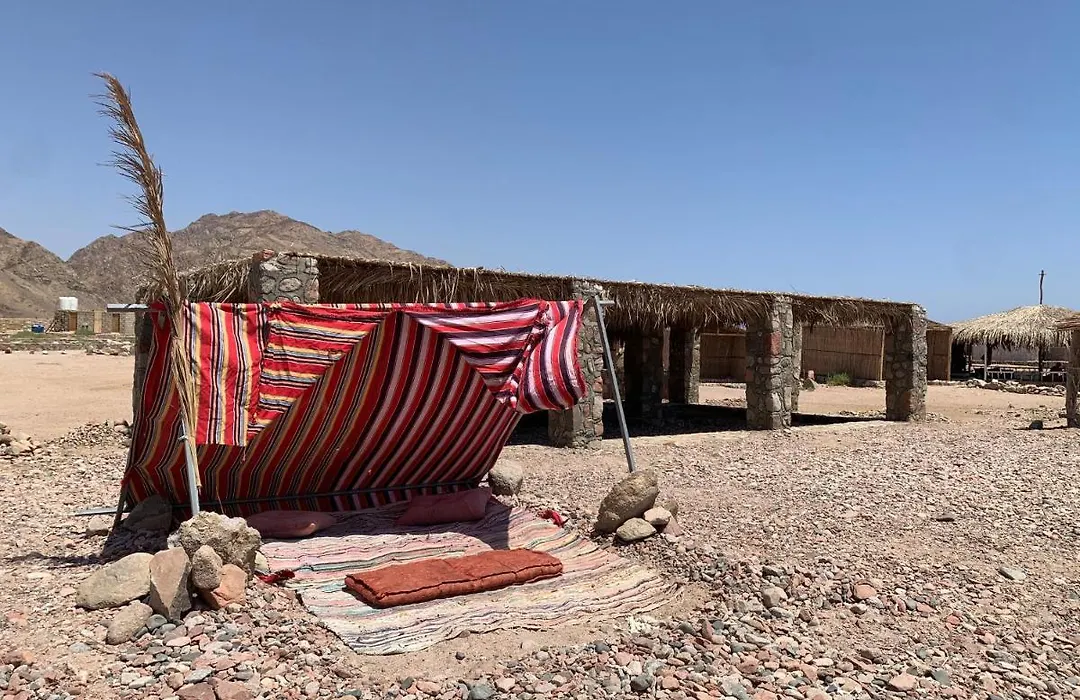 Dehila camp Hotel-1