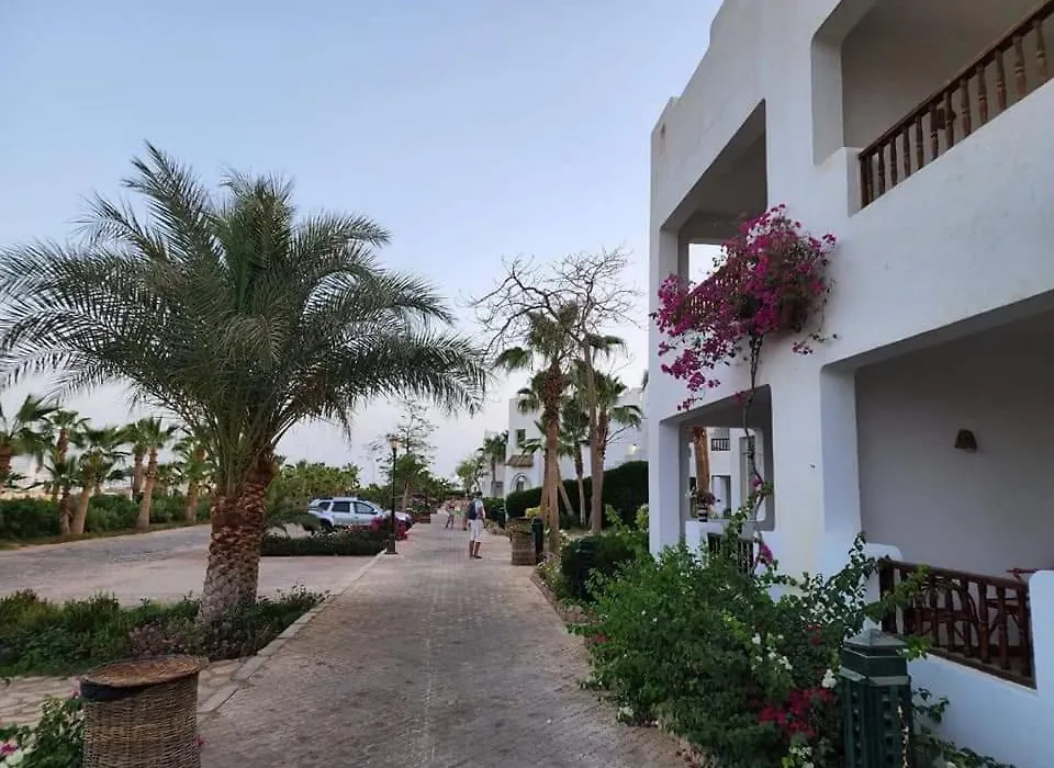 Best studio in Delta Sharm-1