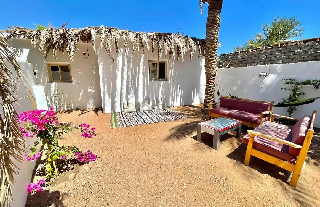 Chill House-1