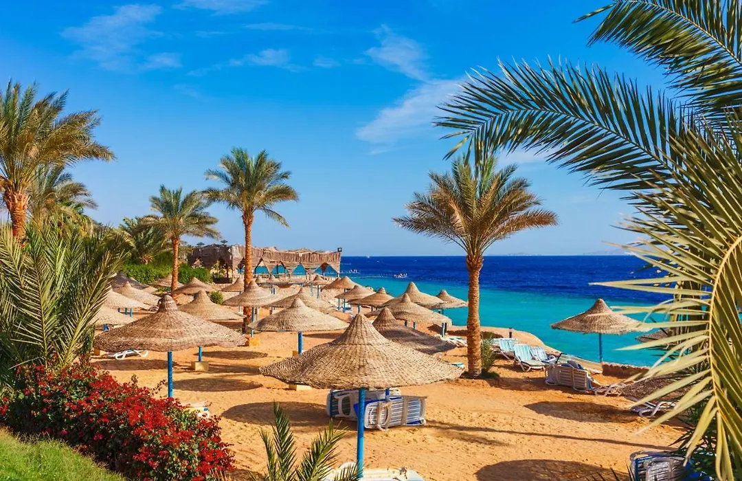Criss Resort Sharm El-Sheikh-1