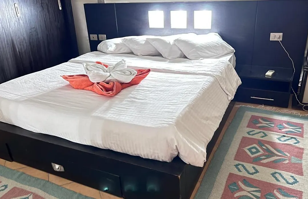 Cozy Apartment In Heart Of Nabq-1
