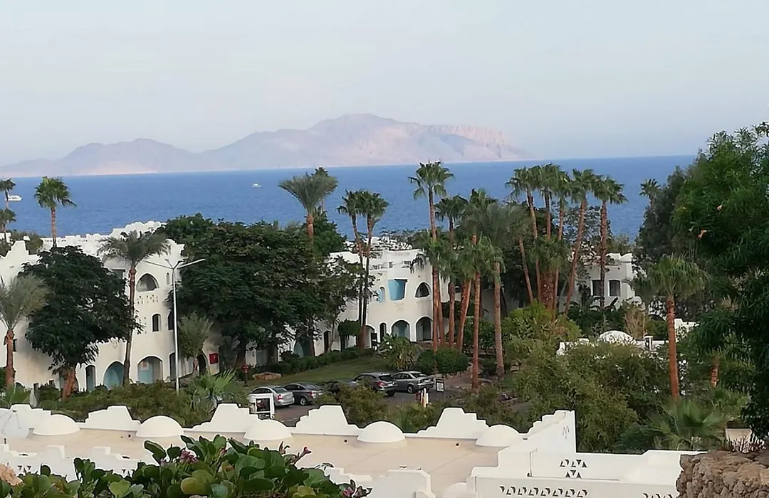Domina Coral Bay-1