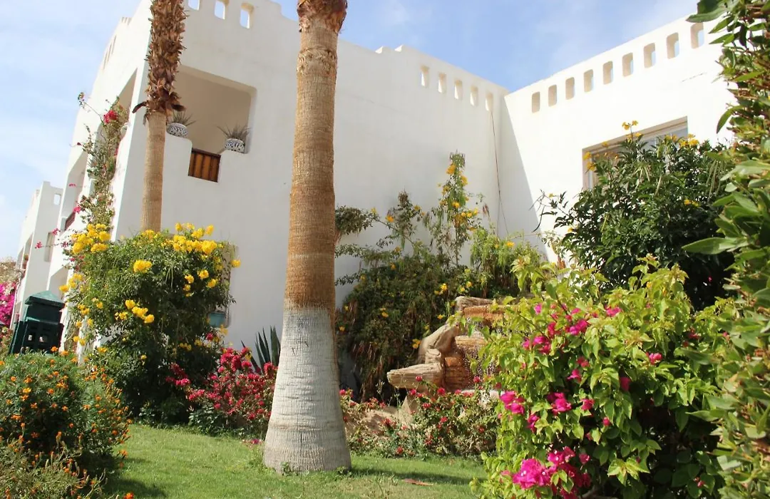 Delta Sharm Best Vacation-1