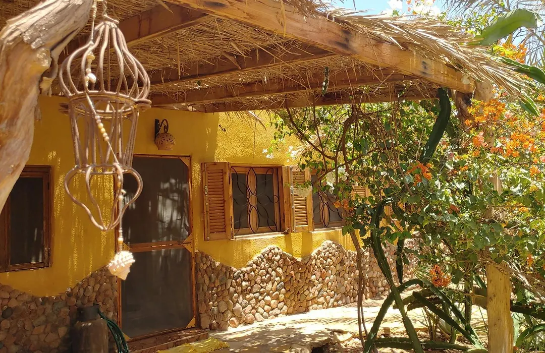Jillyfish House Dahab - Deine Oase In Zwei Palmengaerten - Zentral Am 'Lighthouse'-1