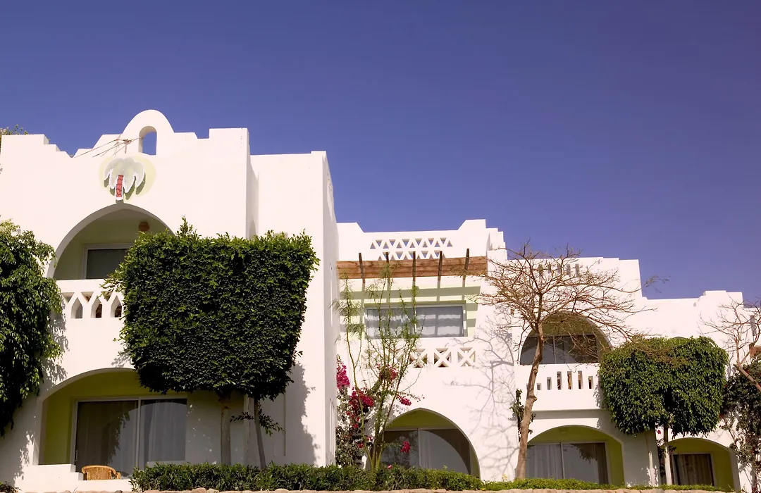 Domina Oasis Hotel & Resort-1