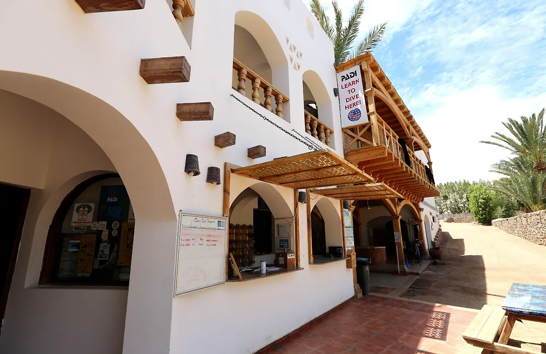 Dahab Divers-1