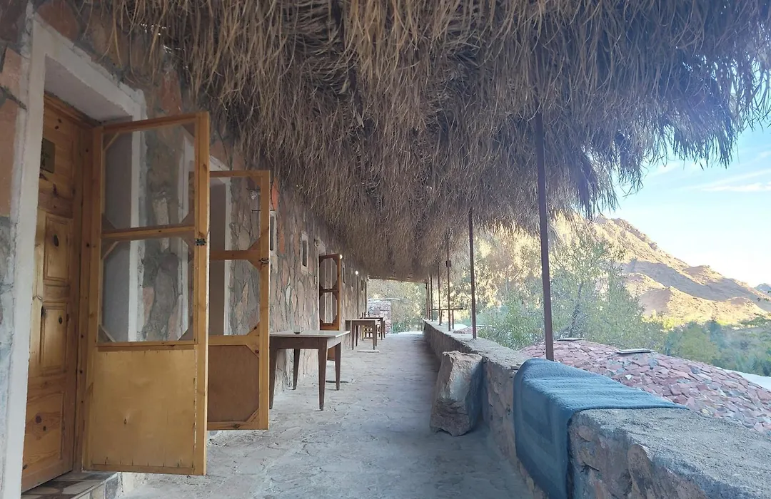 Fox Camp Farag-1