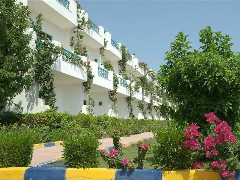 Sharm Cliff Resort-1