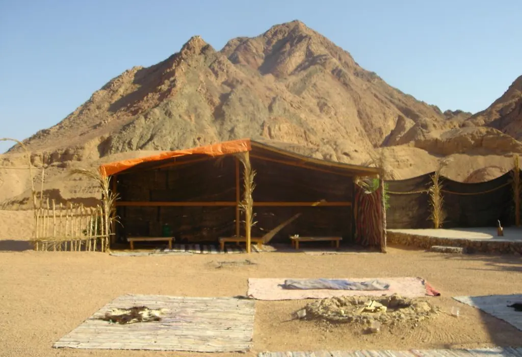Oricana Dahab-1