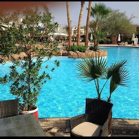 Maged Shaban-3
