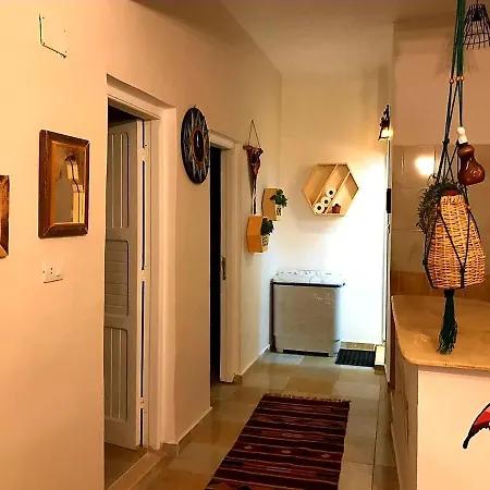 Flamingo House-2