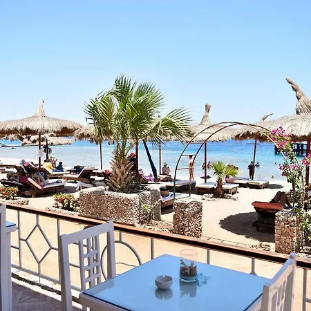 Sunshine Divers Club - Il Porto-3