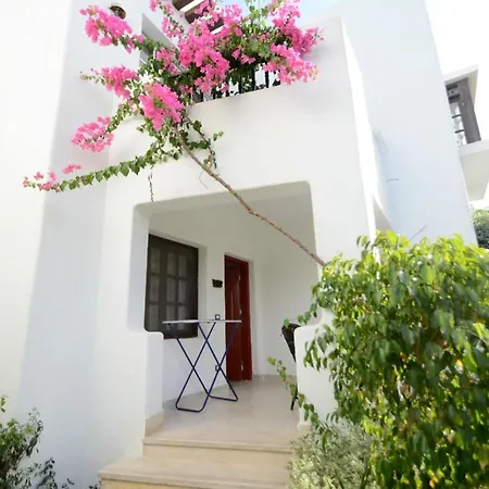 Luxury One Bedroom At Compound-3