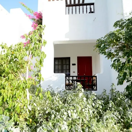Luxury One Bedroom At Compound-2