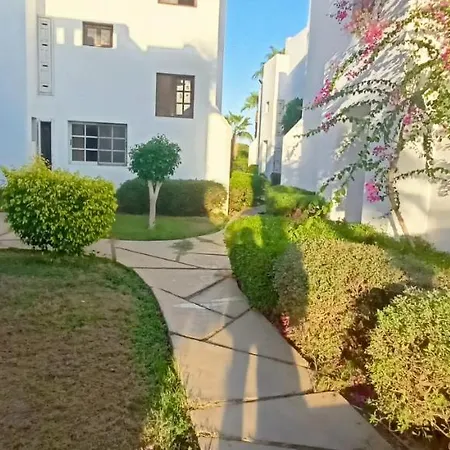Art Style Beautiful One Bedroom Apartment-2