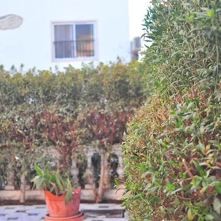 Morning Star Guesthouse-3