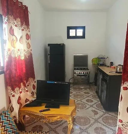 Dahab House Octopus-3