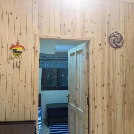 Turtle House-2