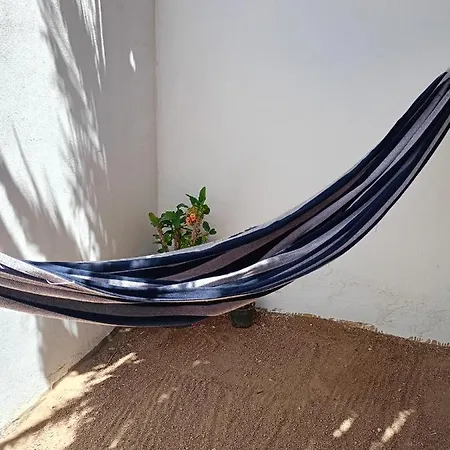 House With Backyard In Dahab-2