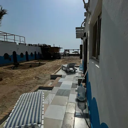 Dolphin Camp-2