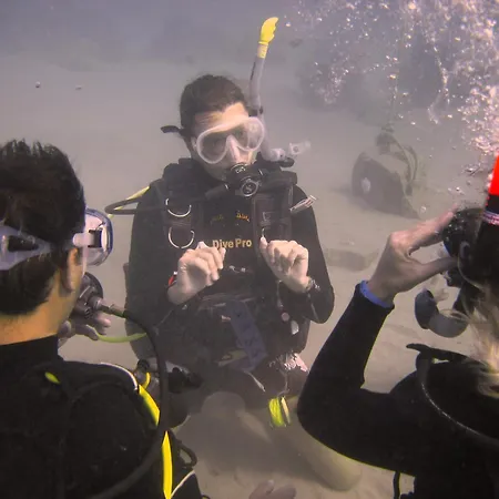 Oonas Dive Club-3