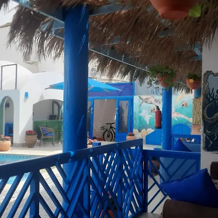 Chillax Dahab-3