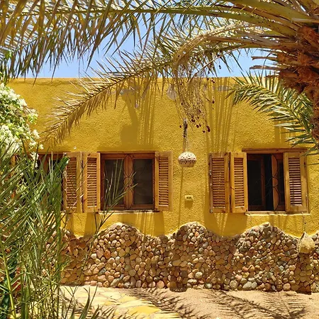 Jillyfish House Dahab - Deine Oase In Zwei Palmengaerten - Zentral Am 'Lighthouse'-3