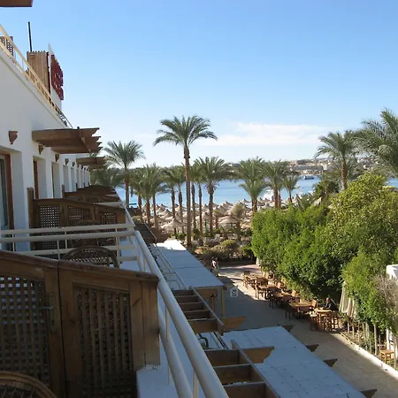 Oonas Dive Club-2