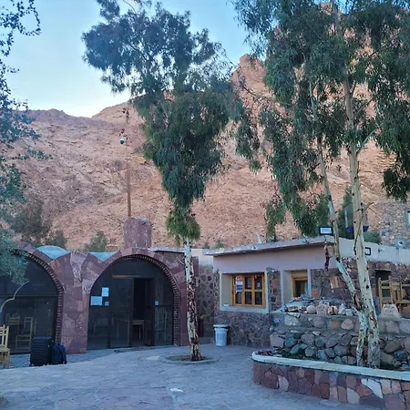 Fox Camp Farag-2