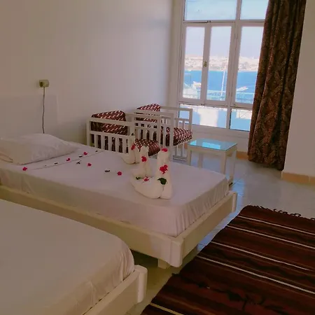Grand Halomy-3