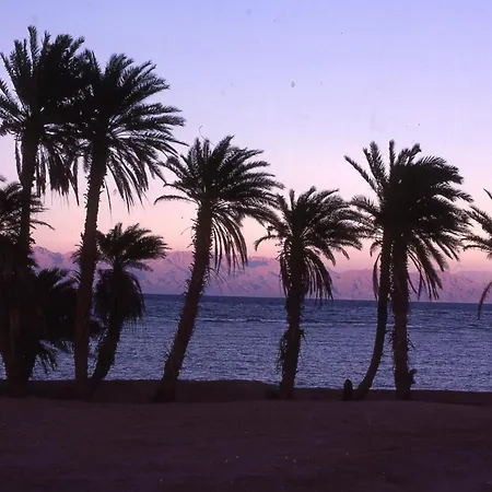 Star Of Dahab Hotel-2