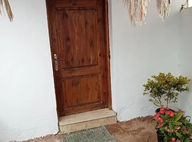 Villa House With Backyard In Dahab che accetta animali