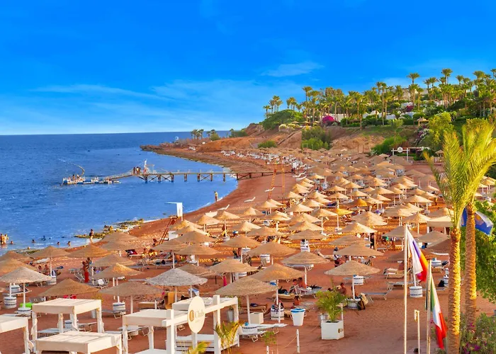 Domina Coral Bay Resort, Diving , Spa & Casino Sharm El-Sheikh Con un Casino