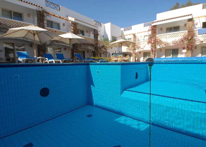 Camel Dive Club & Boutique Hotel Sharm El-Sheikh admite animales