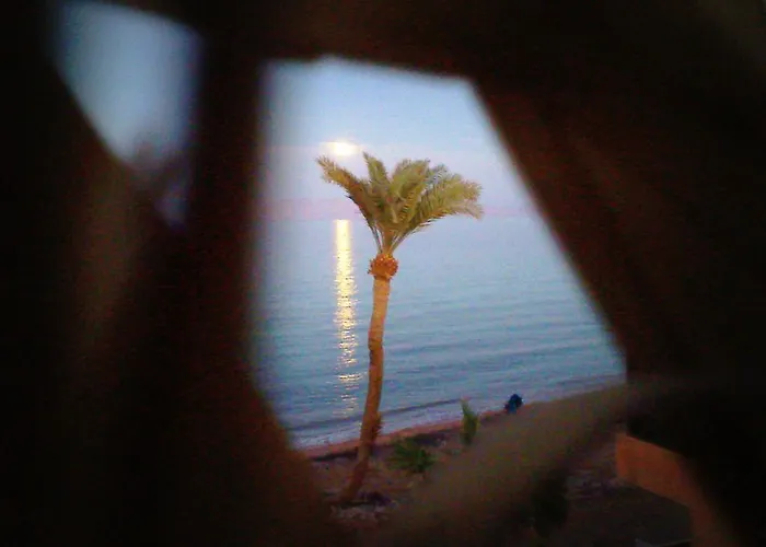 Villa Sarda Dahab che accetta animali